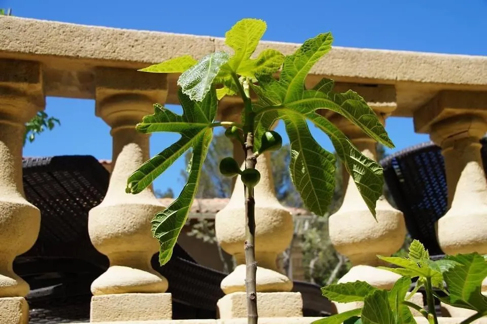 Le Domaine D'Alezen Villa Grans